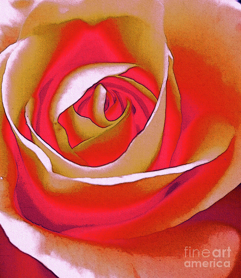Beauty Of A Rose Digital Art by Tracey Lee Cassin