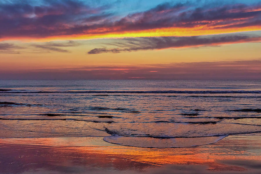 Beauty of Florida Photograph by Florida Fine Art Photography Fine Art