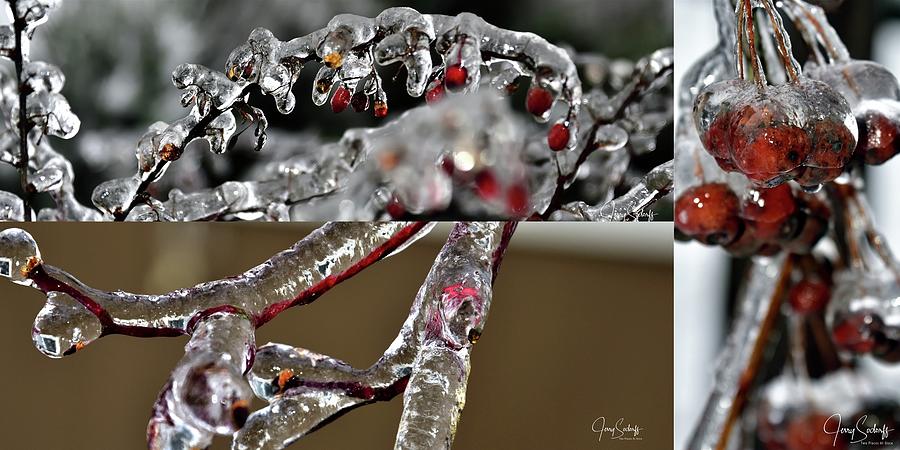 Beauty Of Ice Collage Photograph