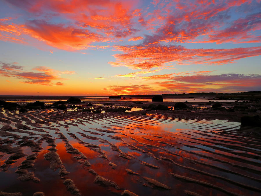 Beauty of Low Tide Photograph by Dianne Cowen Cape Cod and Ocean ...