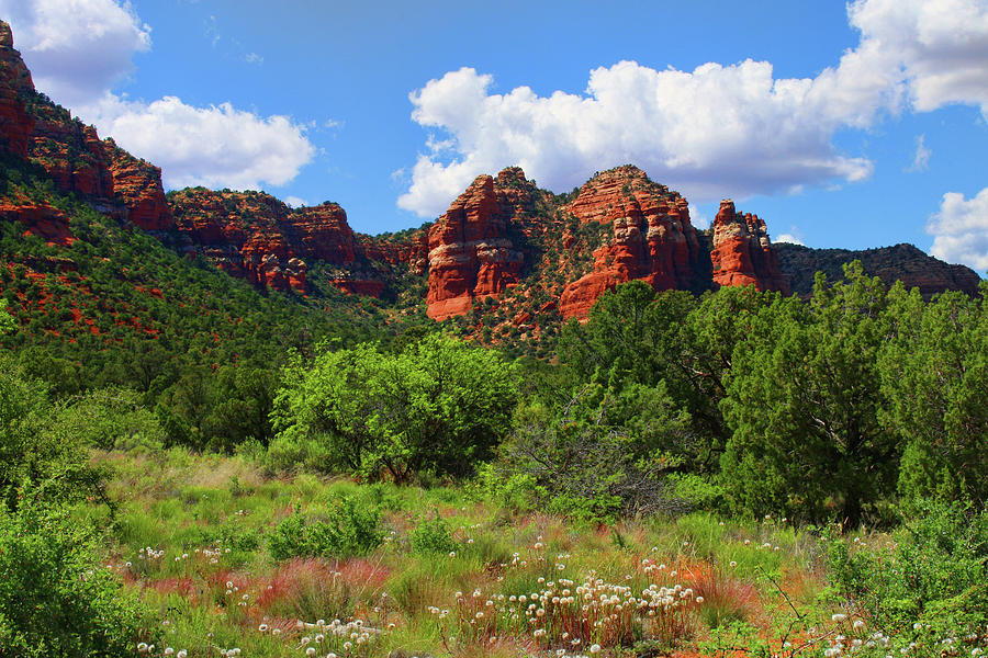 Mountain Photograph -  Beauty of Red Rock State Park by Ola Allen