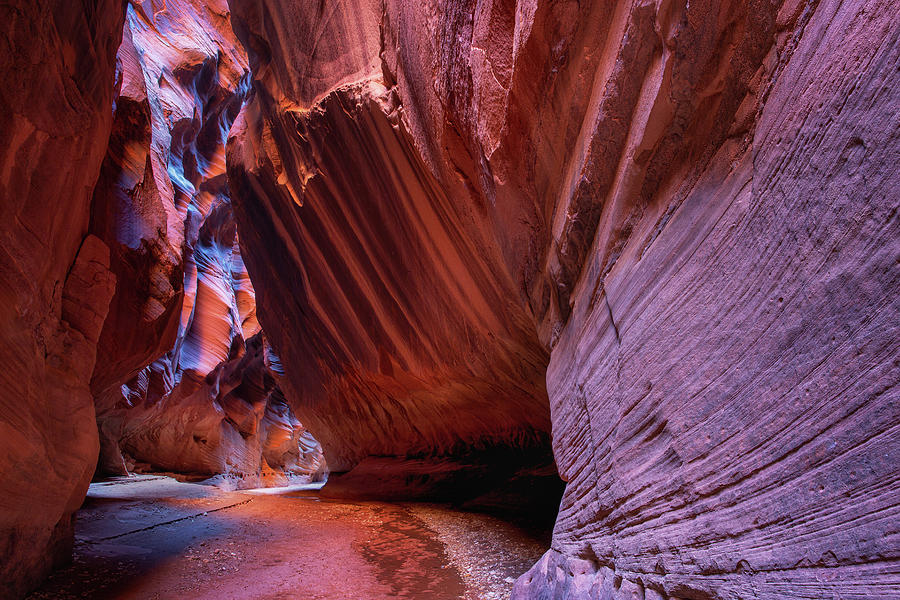 Beauty of the canyon Photograph by Alex Mironyuk