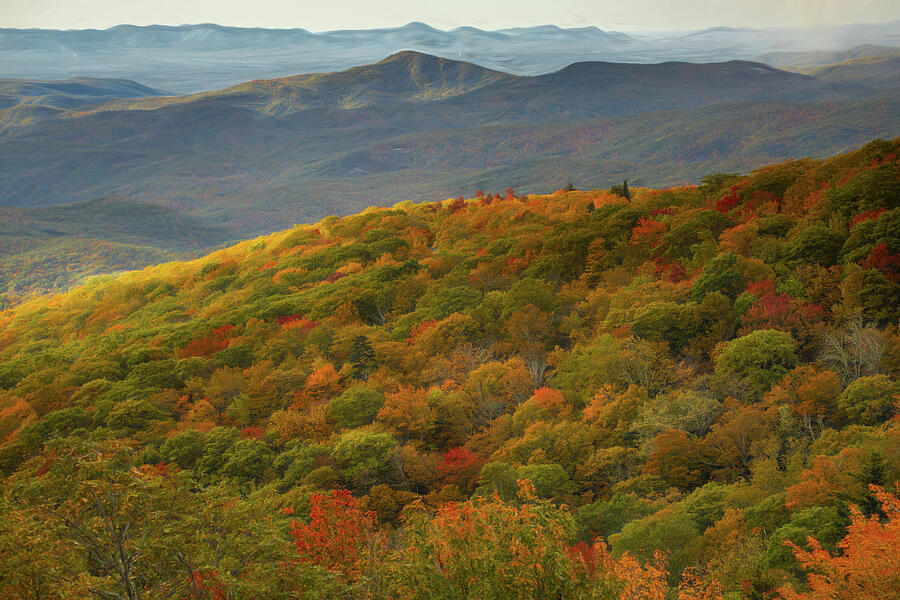 Beauty On The Ridge Photograph by Dodie Ross Beauty On The Ridge Photograph by Dodie Ross