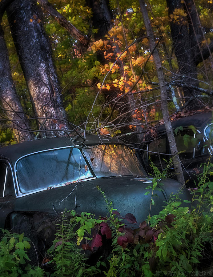 Car Photograph - Dreaming In Color by Jerry LoFaro