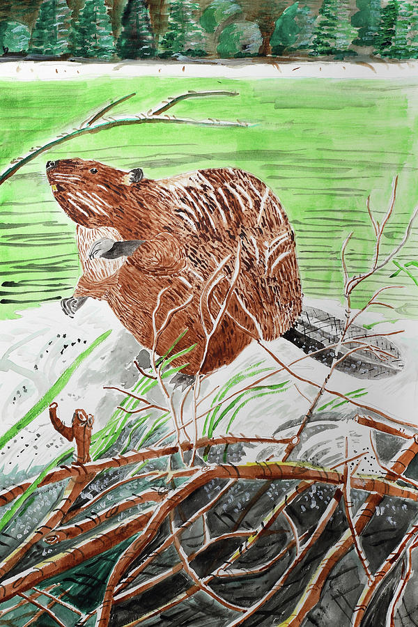 Animal Painting - Beaver Buddy by Wynn Derr