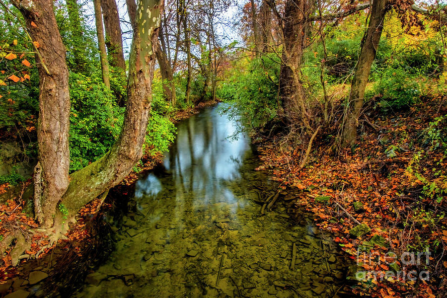 Beaver Creek in Autumn Photograph by Shelia Hunt
