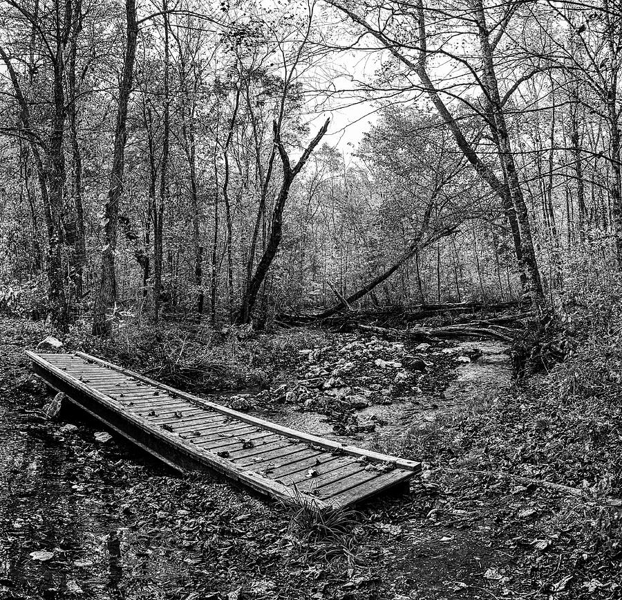 Beaver Creek Plank Bridge Photograph by Kelly Larson