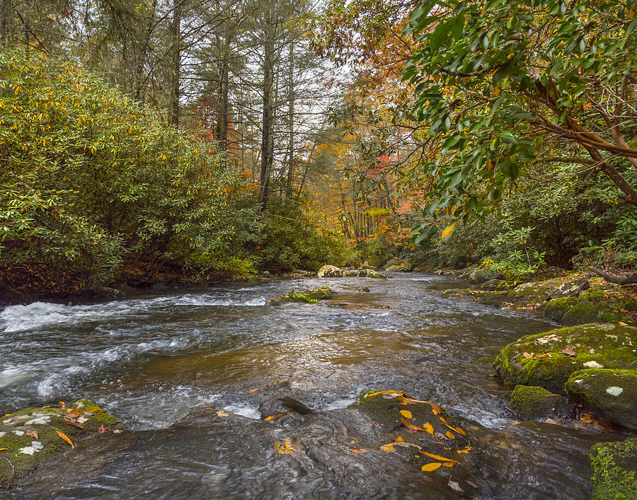 Beaver Dam Creek #2 Photograph by Theron Clore - Pixels