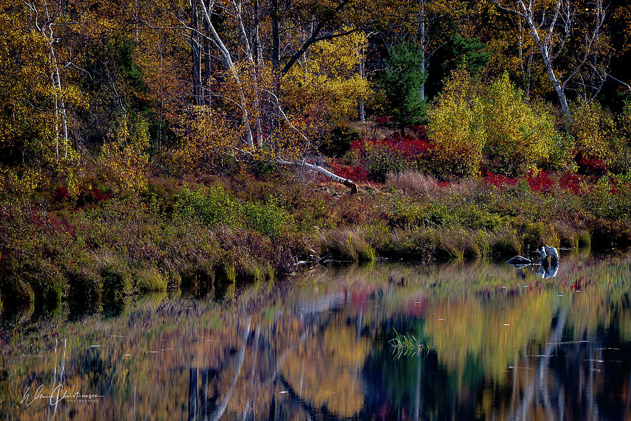 Beaver Dam Pond in October Photograph by William Christiansen