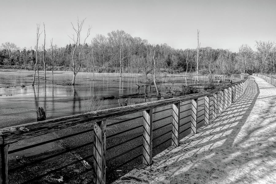 Beaver Marsh in February - Monochrome Photograph by Dennis Lundell