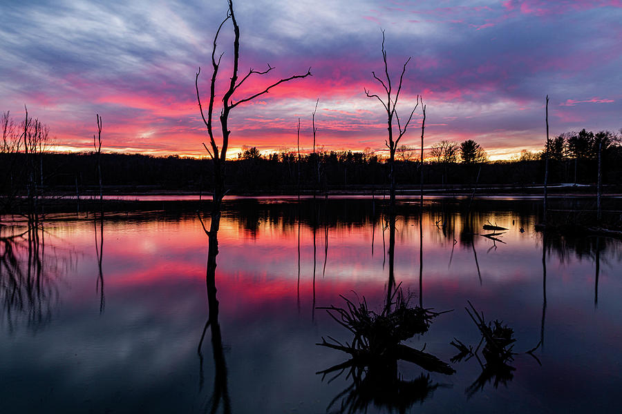 Beaver Marsh Sunset Photograph by Dale Kincaid
