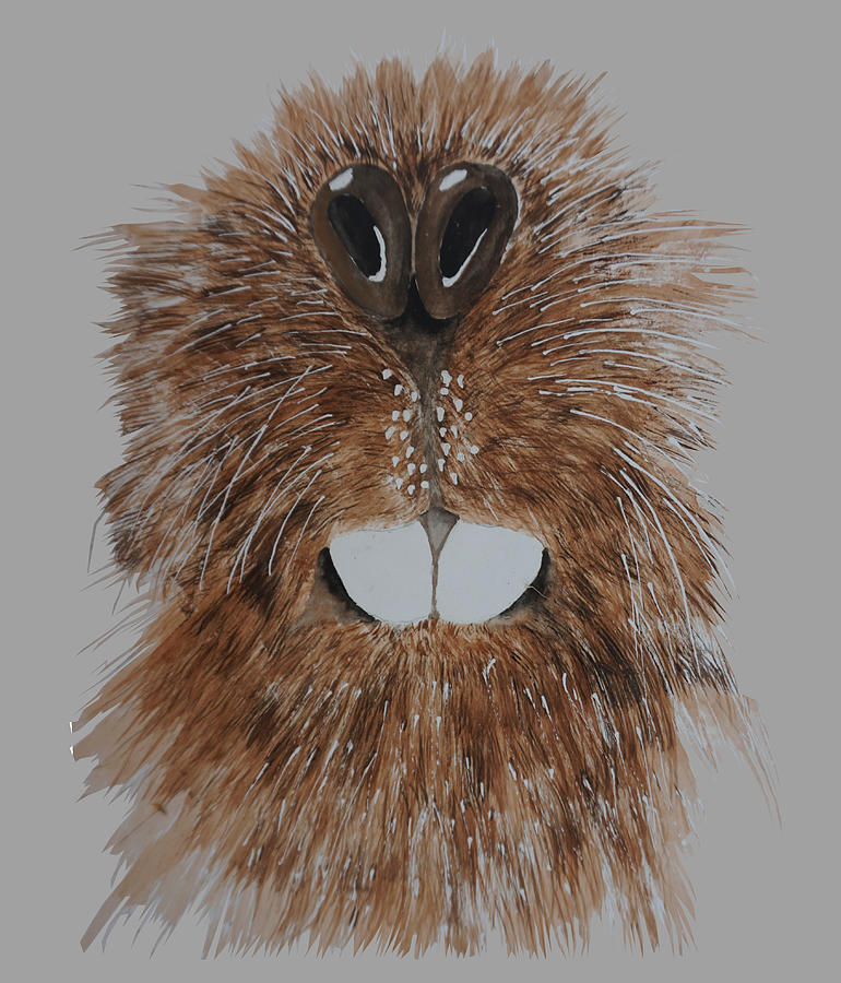 Beaver Mask Painting Thomas Pixels