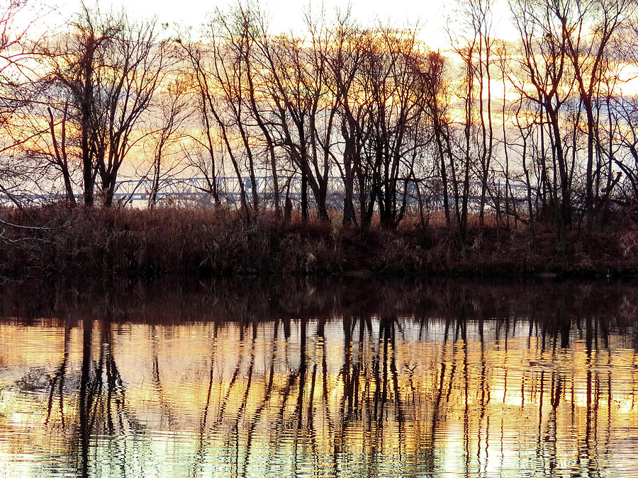 Beaver Pond and Bridge Photograph by Linda Stern