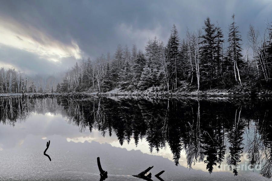 Beaver Pond In Winter Photograph