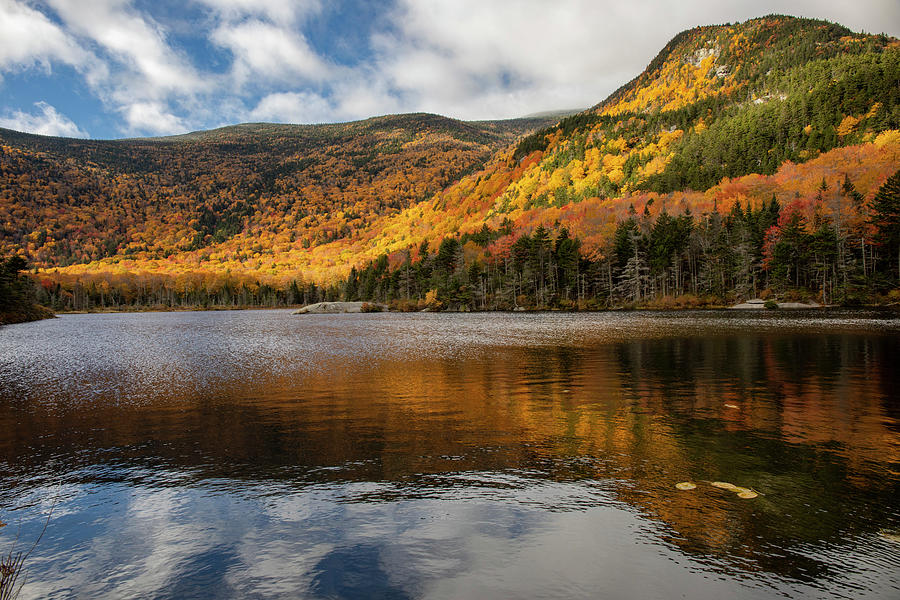 Beaver Pond New Hampshire In Fall Photograph by Dan Sproul