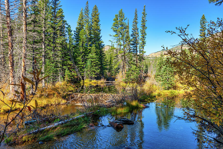 Beaver Ponds Photograph by Jon Snyder - Fine Art America