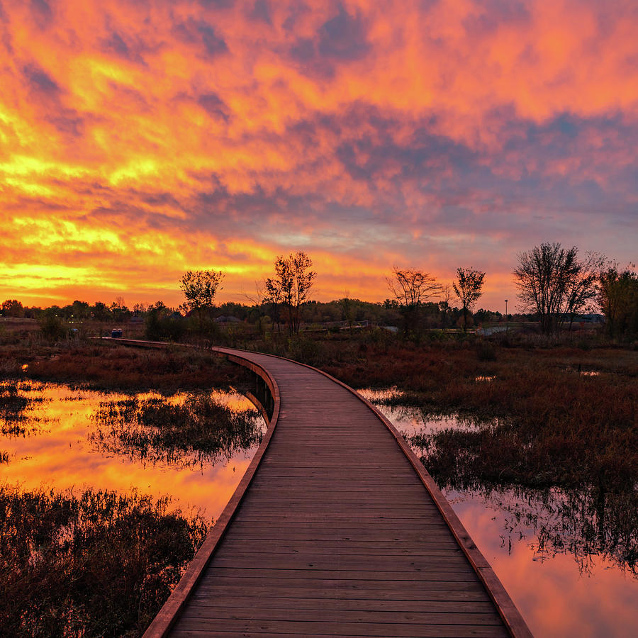 Beaver Wetland Boardwalk Sunrise In Osage Park Photograph by Gregory Ballos Beaver Wetland Boardwalk Sunrise In Osage Park Photograph by Gregory Ballos