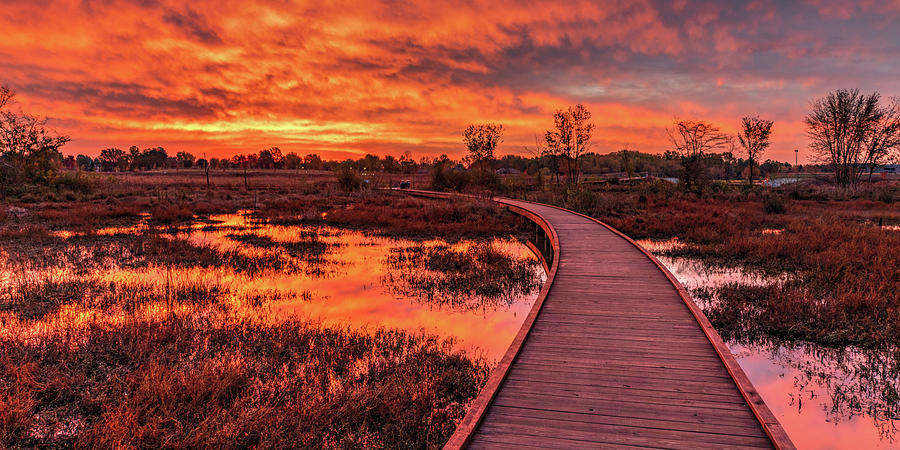 Beaver Wetlands Sunrise Panorama At Osage Park Photograph by Gregory Ballos Beaver Wetlands Sunrise Panorama At Osage Park Photograph by Gregory Ballos