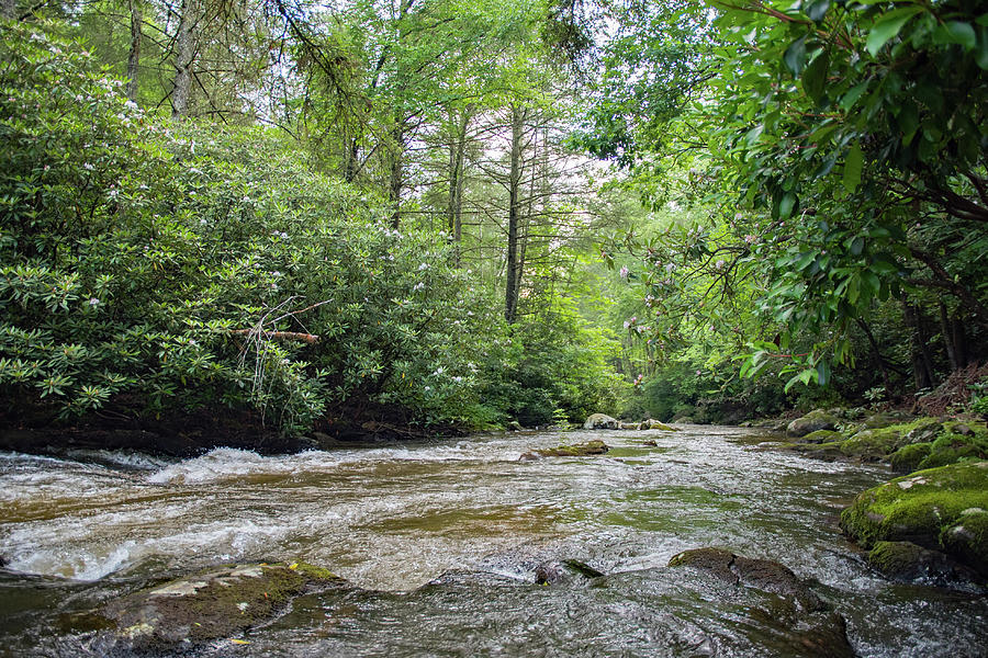 Beaverdam Creek Photograph by Theron Clore - Fine Art America