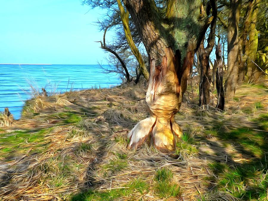 Beavers tried to fell a tree Digital Art by Ralph Kaehne