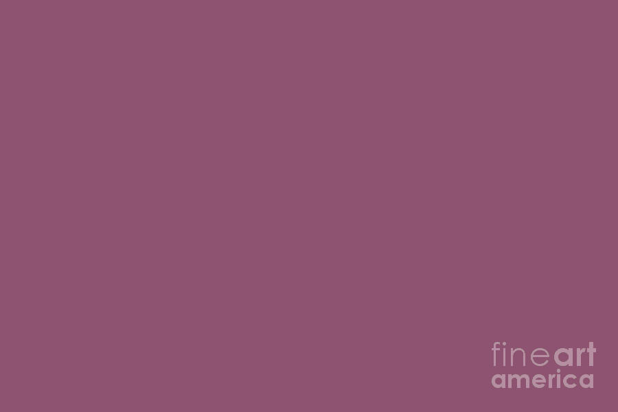 Beckoning Dark Pastel Purple - Pink Solid Color Pairs To Sherwin Williams Grandeur Plum SW 6565 Digital Art by PIPA Fine Art - Simply Solid