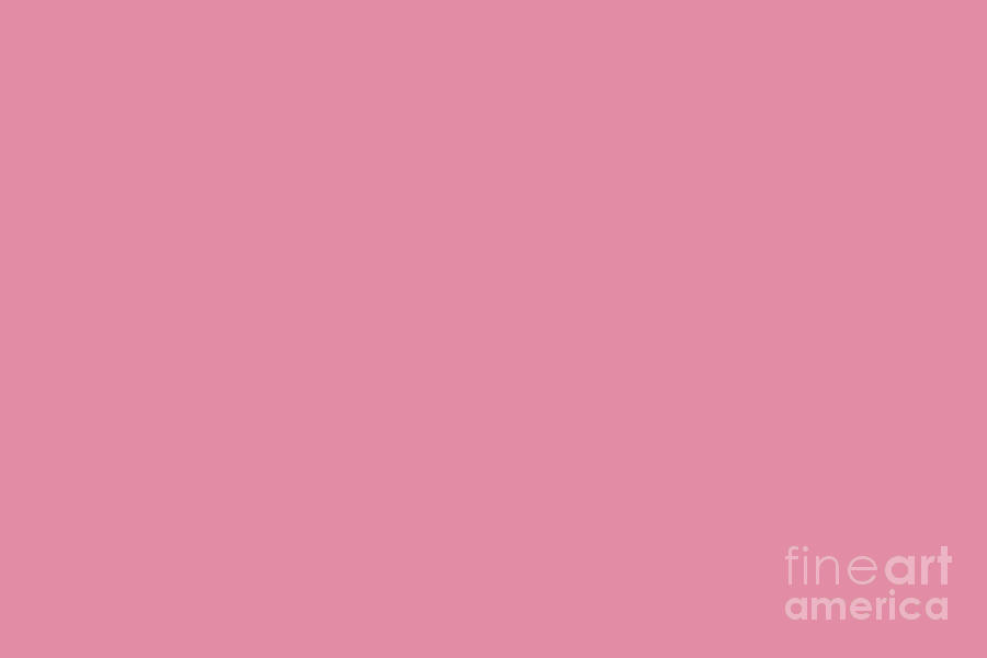 Beckoning Pastel Pink Solid Color Pairs To Sherwin Williams Cheery SW 6584 Digital Art by PIPA Fine Art - Simply Solid