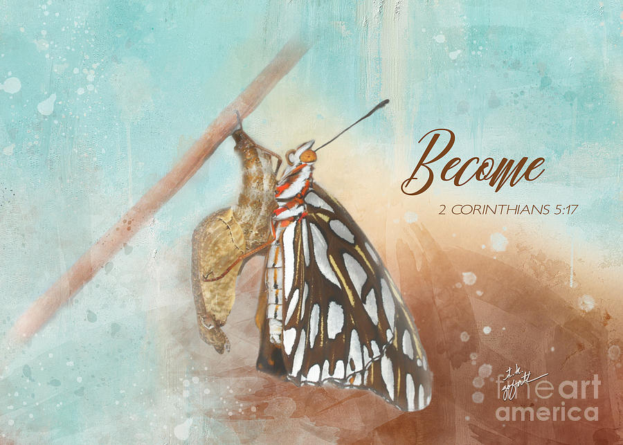 Become Like The Butterfly Photograph by TK Goforth