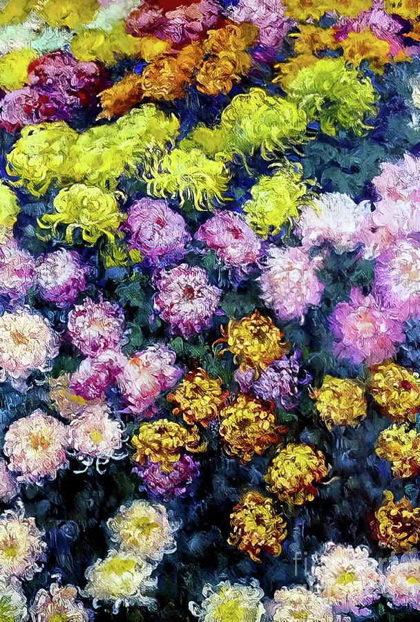 Bed of Chrysanthemums by Claude Monet 1897 Painting by Claude Monet