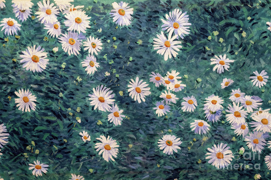 Bed of Daisies, Detail - Remastered Painting by Gustave Caillebotte ...