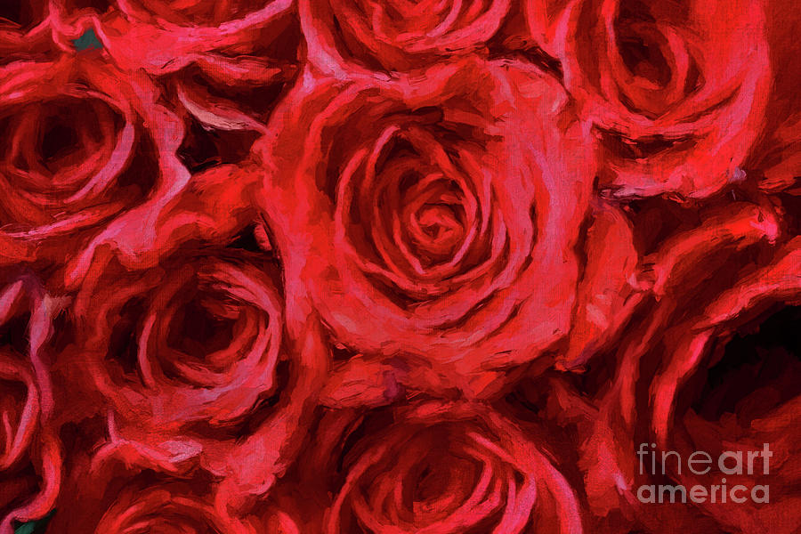 Bed of Roses Digital Art by Jayne Carney