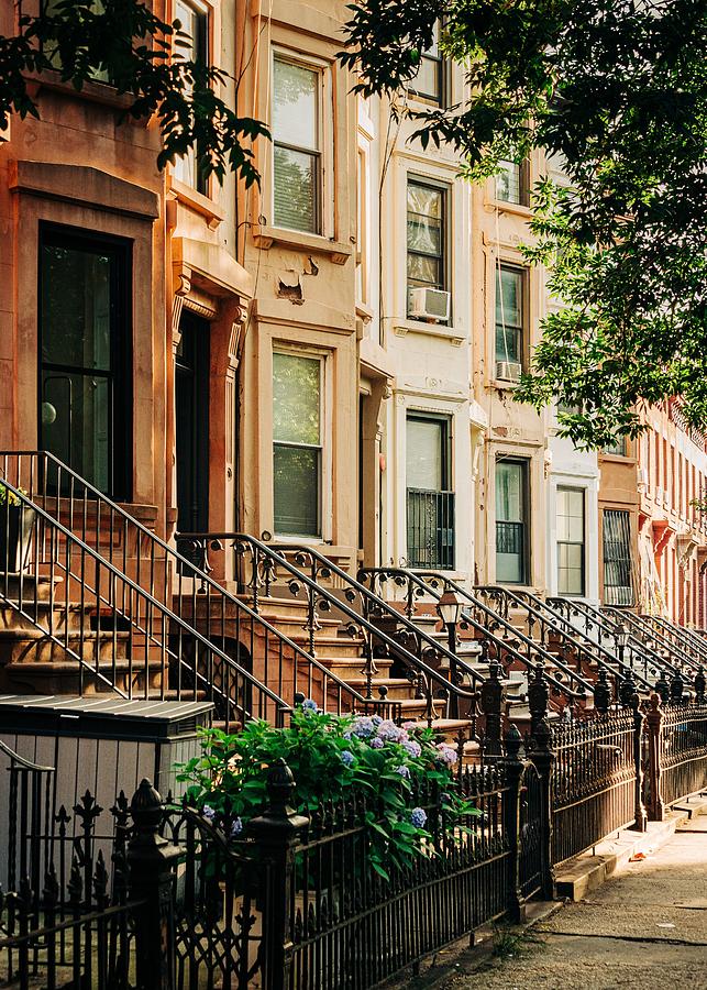 Bed-Stuy Brownstones 02 Photograph by Jon Bilous - Fine Art America