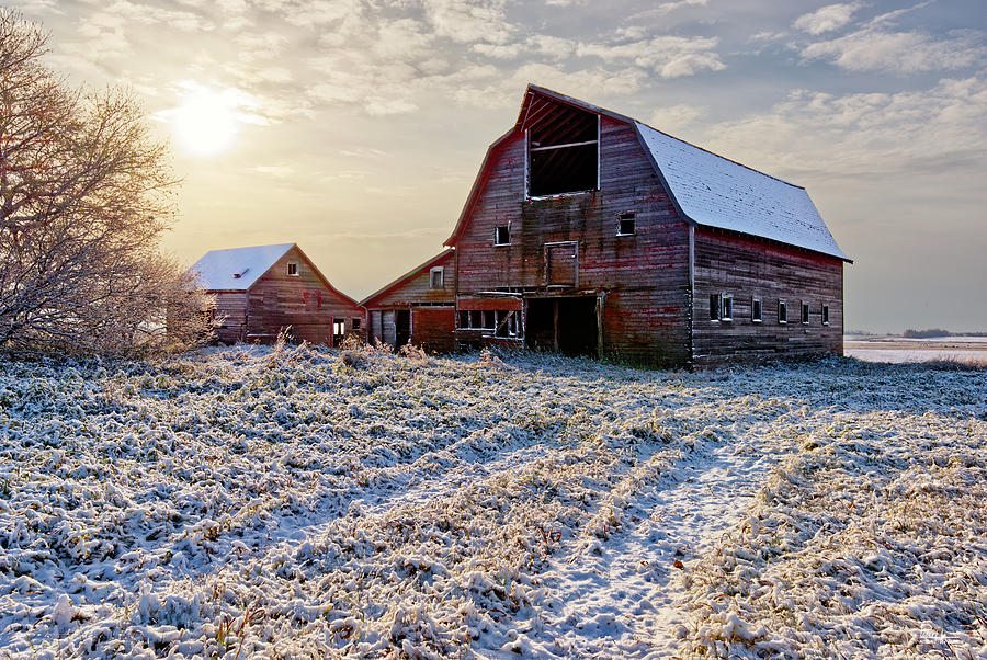 Bedazzled Blackmore Barn - abandoned rural ND barn in an early fresh snow at sunrise Photograph by Peter Herman