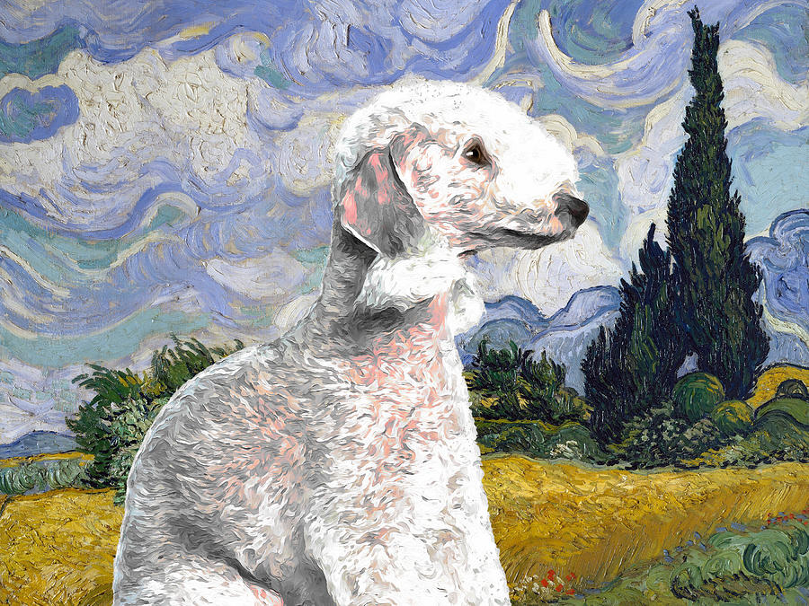 Bedlington Terrier Art Wheat Field with Cypresses Van Gogh Bedlington Dog Print Painting by Sandra Sij