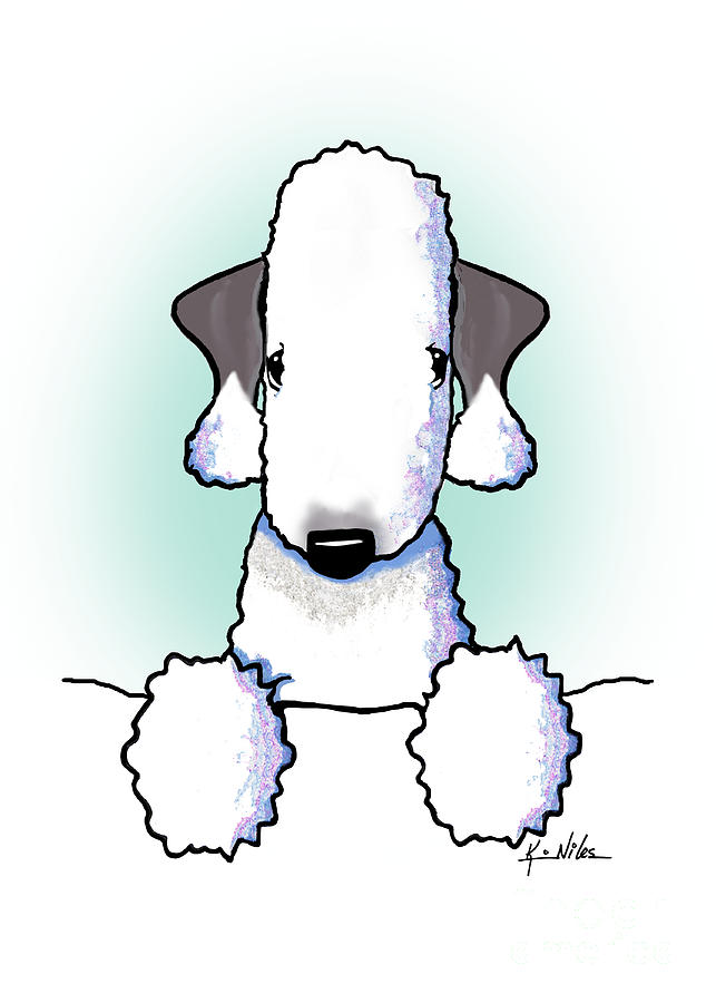 Dog Drawing - Bedlington Terrier by Kim Niles aka KiniArt