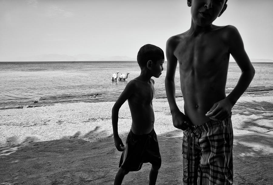 Bedouin boys after washing camels, Sinai, Egypt Photograph by Tim ...