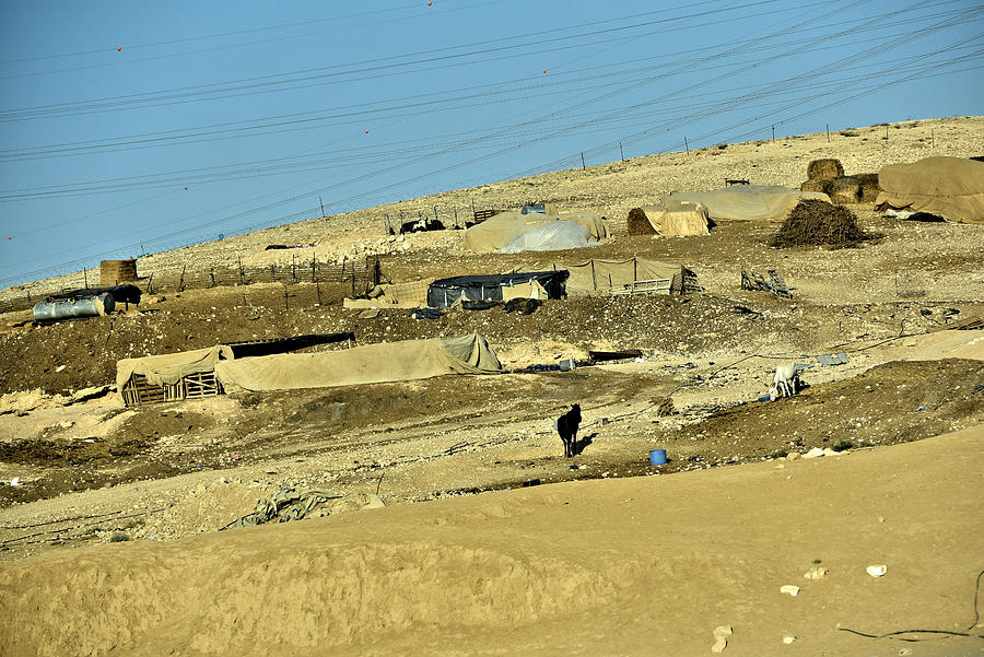 Bedouin Camp In Negev Desert Photograph By Elena ZapasskyBaal - Pixels