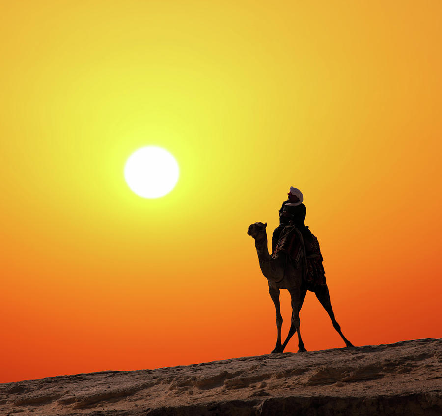 Bedouin On Camel Silhouette Against Sunrise Photograph by Mikhail Kokhanchikov