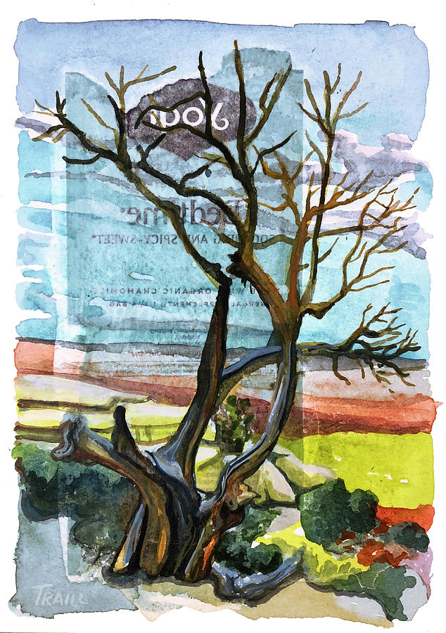Watercolor Mixed Media - Bedtime Juniper by Jennie Traill Schaeffer Watercolor Mixed Media - Bedtime Juniper by Jennie Traill Schaeffer