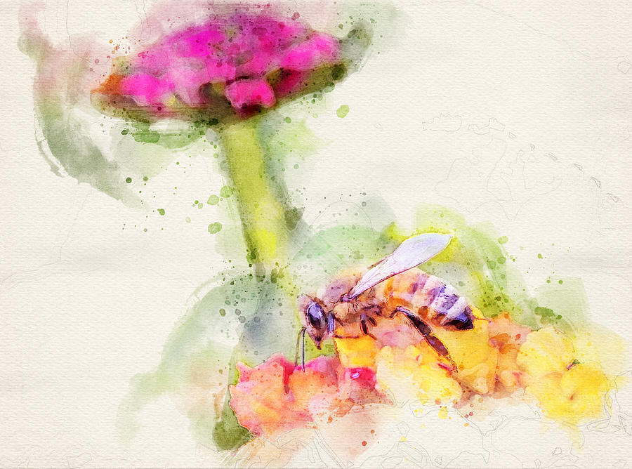 Bee and Flower Macro Watercolor Photograph Photograph by R Scott Duncan
