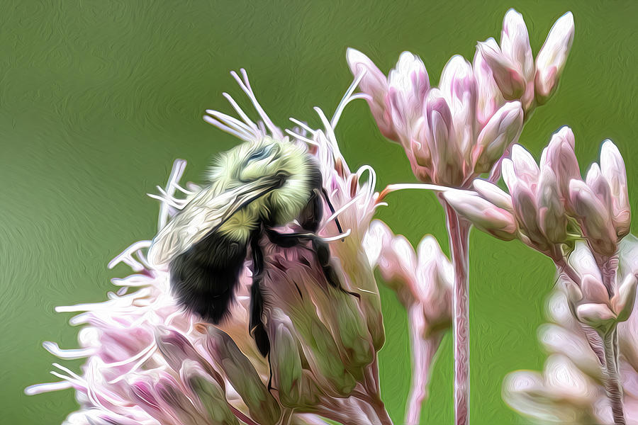 Bee and Flowers-3 Digital Art by John Kirkland