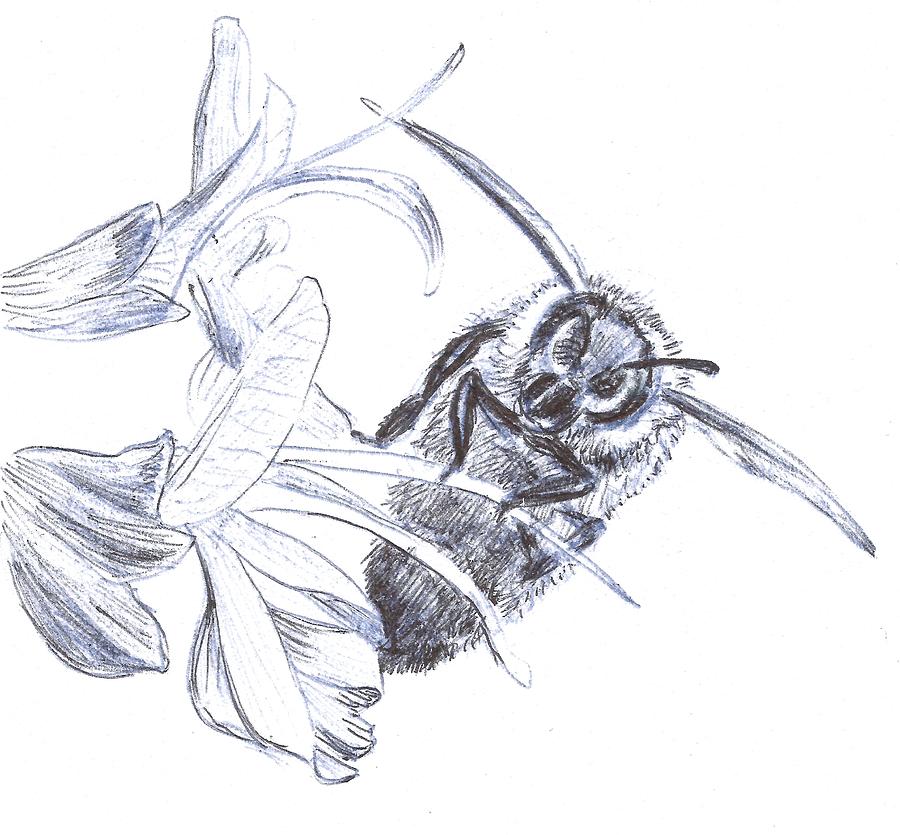 Bee and Flowers Drawing by Masha Batkova