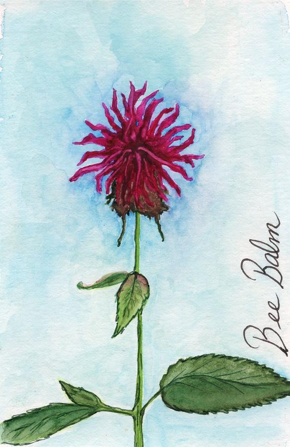 Bee Balm Painting By Jennifer Thoreson - Fine Art America