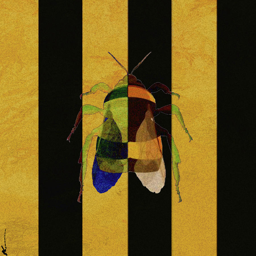 Bee, Cuz Digital Art by Ken Walker