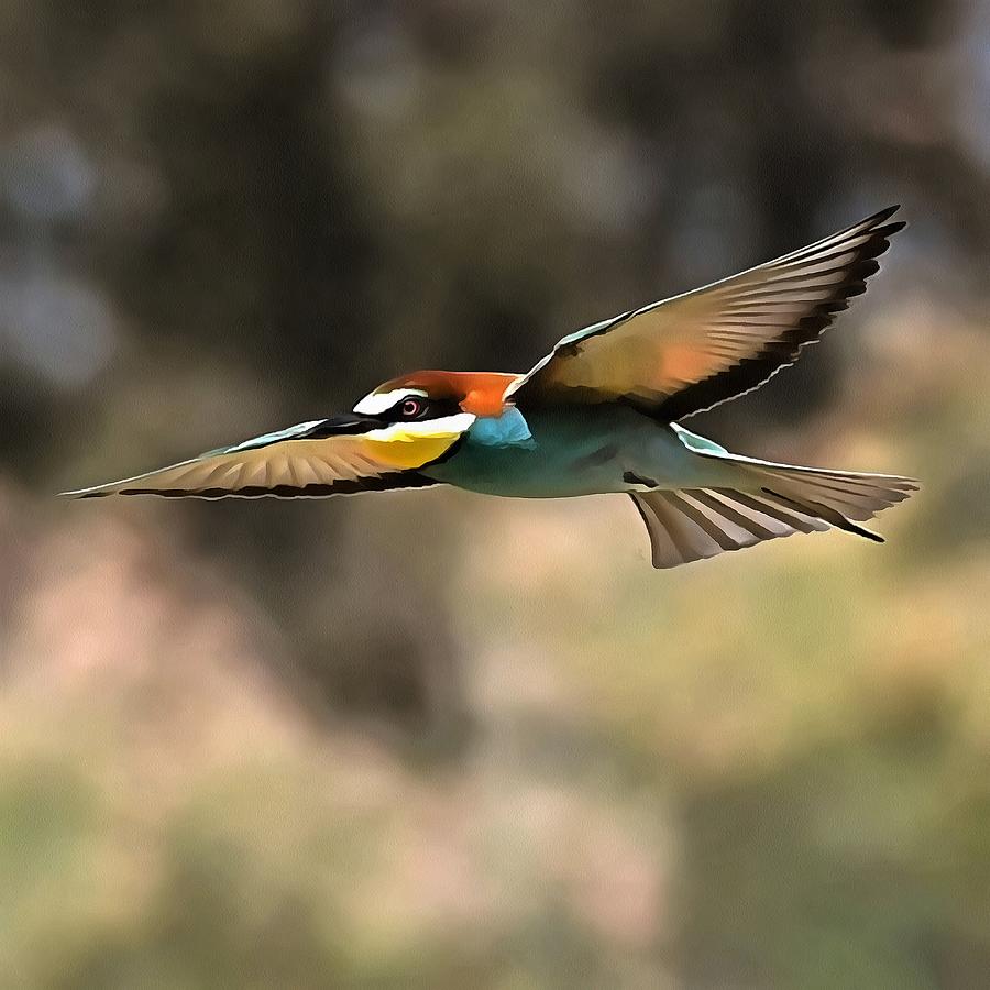 Bee Eater In Flight Realistic Artwork Painting by Taiche Acrylic Art