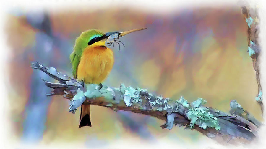 Bee-eater  Painting by Joel Smith