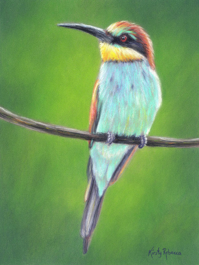 Bee-Eater Pastel by Kirsty Rebecca