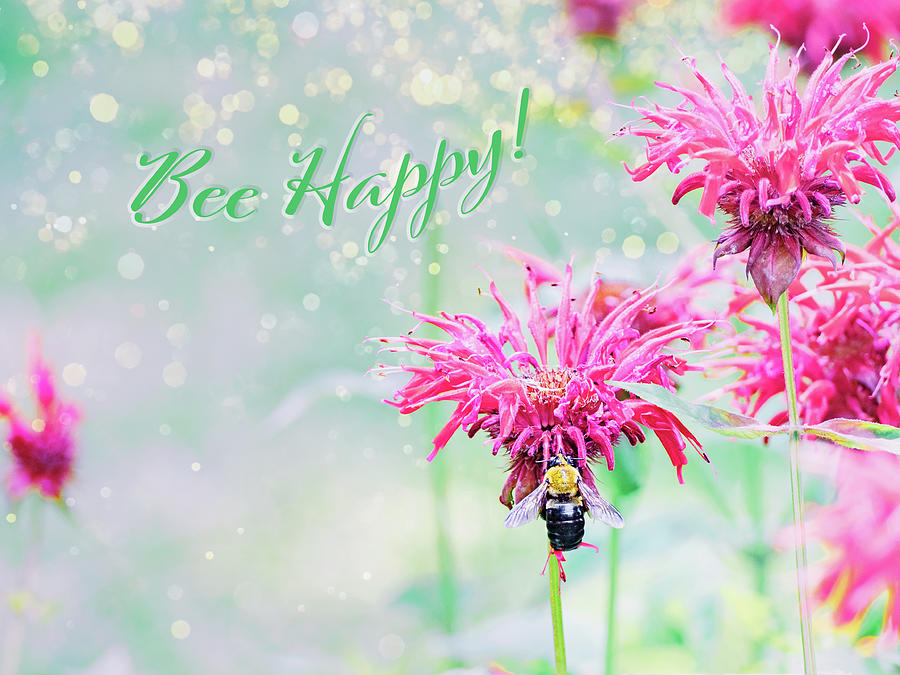 Bee Happy Digital Art by Marianne Campolongo