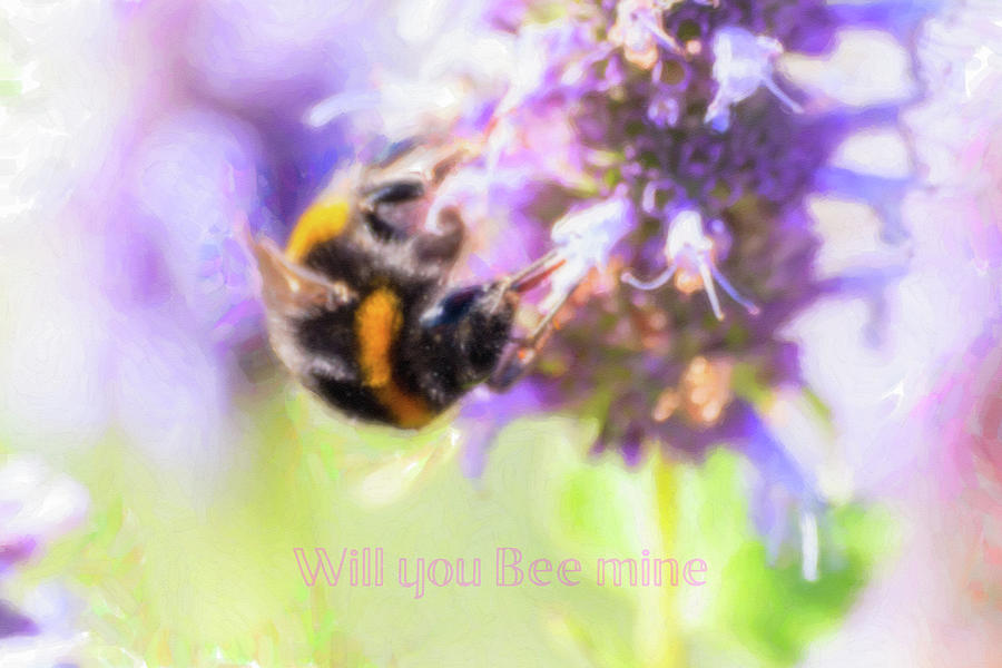 Bee Mine Digital Art by LGP Imagery