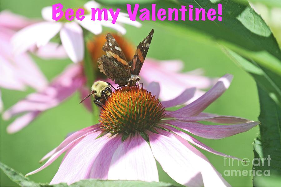 Bee my Valentine Photograph by Patricia Youngquist