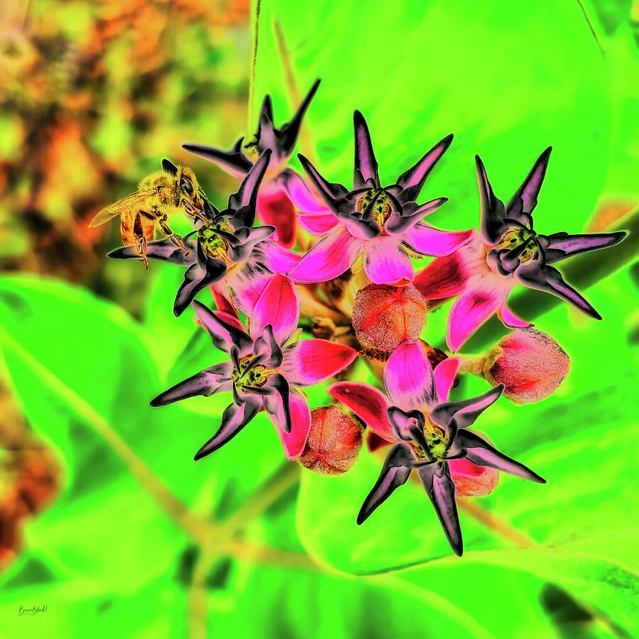Bee on a garden flower Digital Art by Bruce Block